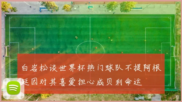 白岩松谈世界杯热门球队不提阿根廷因对其喜爱担心成贝利命运