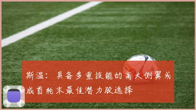 斯温：具备多重技能的高大侧翼或成首轮末最佳潜力股选择